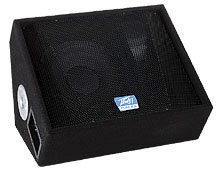 Peavey  TLM 2X Floor Monitor,  TLM 2X Floor Monitor TLM 2X Floor Monitor Peavey()-----c(din)Ŵ